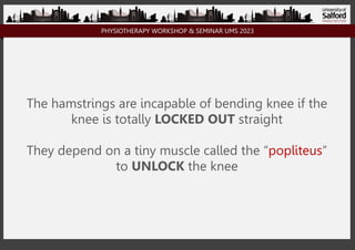 PHYSIOTHERAPY WORKSHOP & SEMINAR UMS 2023
The hamstrings are incapable of bending knee if the
knee is totally LOCKED OUT straight
They depend on a tiny muscle called the “popliteus”
to UNLOCK the knee
 