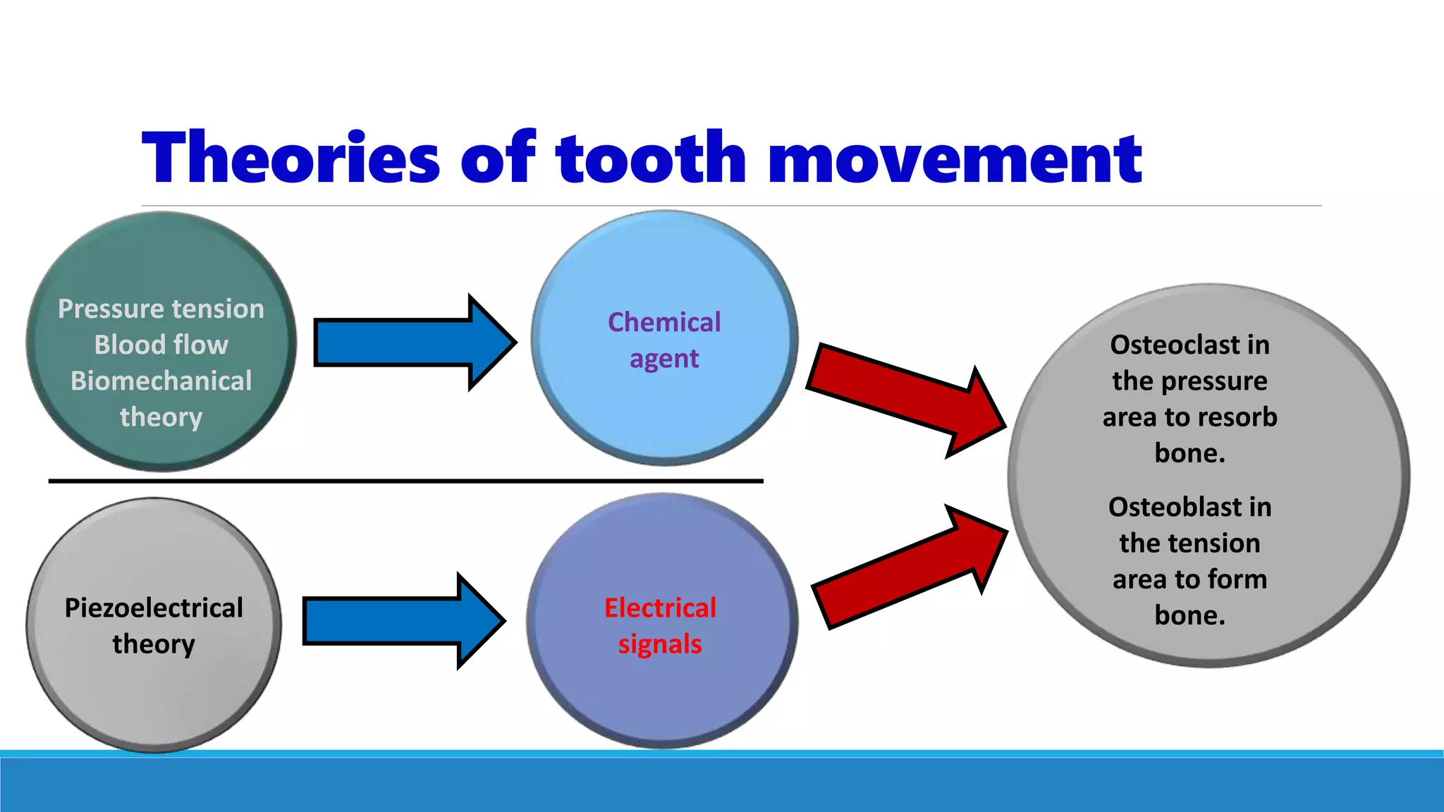 Theories of tooth movement
Osteoclast in
the pressure
area to resorb
bone.
Osteoblast in
the tension
area to form
bone.
Chemical
agent
Electrical
signals
Pressure tension
Blood flow
Biomechanical
theory
Piezoelectrical
theory
 