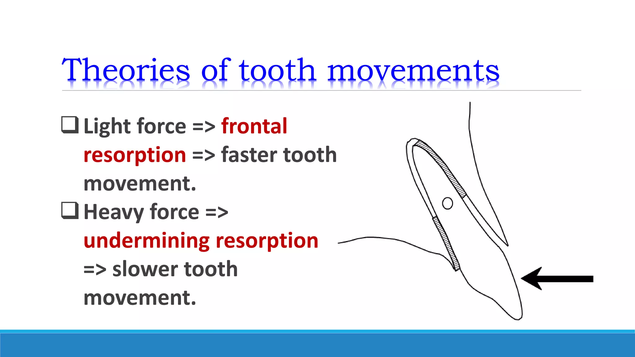 Theories of tooth movements
Light force => frontal
resorption => faster tooth
movement.
Heavy force =>
undermining resorption
=> slower tooth
movement.
 