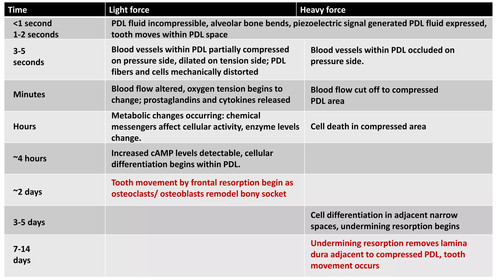 Time Light force Heavy force
<1 second
1-2 seconds
PDL fluid incompressible, alveolar bone bends, piezoelectric signal generated PDL fluid expressed,
tooth moves within PDL space
3-5
seconds
Blood vessels within PDL partially compressed
on pressure side, dilated on tension side; PDL
fibers and cells mechanically distorted
Blood vessels within PDL occluded on
pressure side.
Blood flow altered, oxygen tension begins to
change; prostaglandins and cytokines released
Blood flow cut off to compressed
PDL area
Metabolic changes occurring: chemical
messengers affect cellular activity, enzyme levels
change.
Minutes
Hours Cell death in compressed area
~4 hours
Increased cAMP levels detectable, cellular
differentiation begins within PDL.
~2 days
Tooth movement by frontal resorption begin as
osteoclasts/ osteoblasts remodel bony socket
3-5 days
Cell differentiation in adjacent narrow
spaces, undermining resorption begins
7-14
days
Undermining resorption removes lamina
dura adjacent to compressed PDL, tooth
movement occurs
 