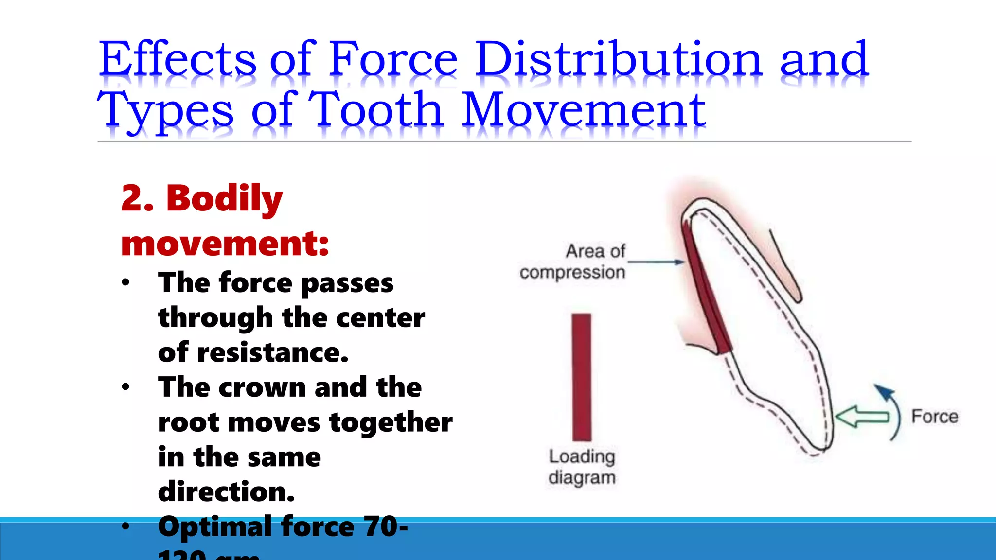 Effects of Force Distribution and
Types of Tooth Movement
2. Bodily
movement:
• The force passes
through the center
of resistance.
• The crown and the
root moves together
in the same
direction.
• Optimal force 70-
 