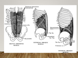Biomechanics and pathomechanics of lumbosacral joint | PPTX