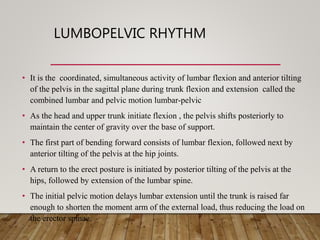 Lumbopelvic Rotation Biomechanics and pathomechanics of lumbosacral joint | PPTX