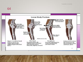 Biomechanics and pathomechanics of lumbosacral joint | PPTX
