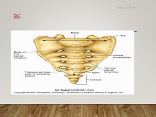 Biomechanics and pathomechanics of lumbosacral joint | PPTX