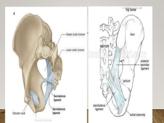 Biomechanics and pathomechanics of lumbosacral joint | PPTX
