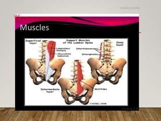 Biomechanics and pathomechanics of lumbosacral joint | PPTX