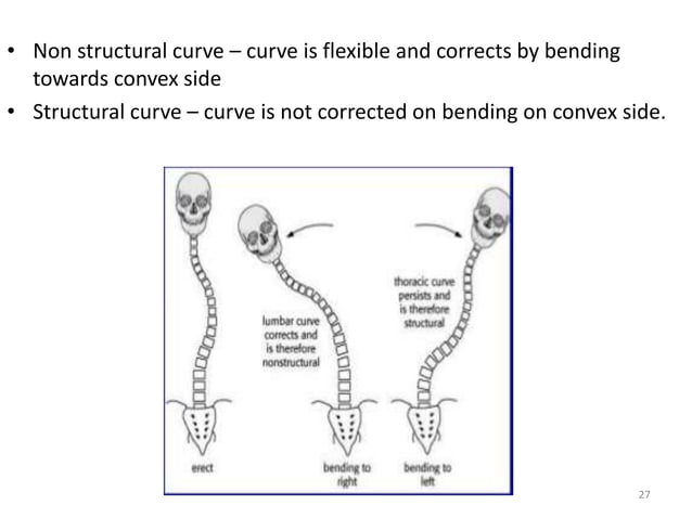 Biomechanics and pathomechanics of scoliosis | PPTX