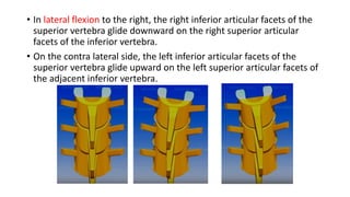 BIOMECHANICS AND PATHOMECHANICS OF THORACIC SPINE.pptx