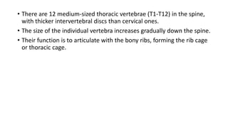 BIOMECHANICS AND PATHOMECHANICS OF THORACIC SPINE.pptx