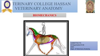 VETERINARY COLLEGE HASSAN
VETERINARY ANATOMY
SUBMITTED TO:
Dr.Rajashailesh N M
HOD
Dept. of Veterinary Anatomy
BIOMECHANICS
 