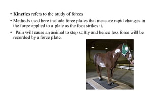 • Kinetics refers to the study of forces.
• Methods used here include force plates that measure rapid changes in
the force applied to a plate as the foot strikes it.
• Pain will cause an animal to step softly and hence less force will be
recorded by a force plate.
 