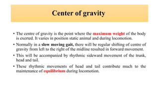 • The centre of gravity is the point where the maximum weight of the body
is exerted. It varies in position static animal and during locomotion.
• Normally in a slow moving gait, there will be regular shifting of centre of
gravity from left to the right of the midline resulted in forward movement.
• This will be accompanied by rhythmic sideward movement of the trunk,
head and tail.
• These rhythmic movements of head and tail contribute much to the
maintenance of equilibrium during locomotion.
Center of gravity
 