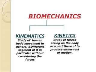 3.4.4. docstrings — biomechanical analysis using... Biomechanics(FYBPO) - AIIPMR Lectures | PPT