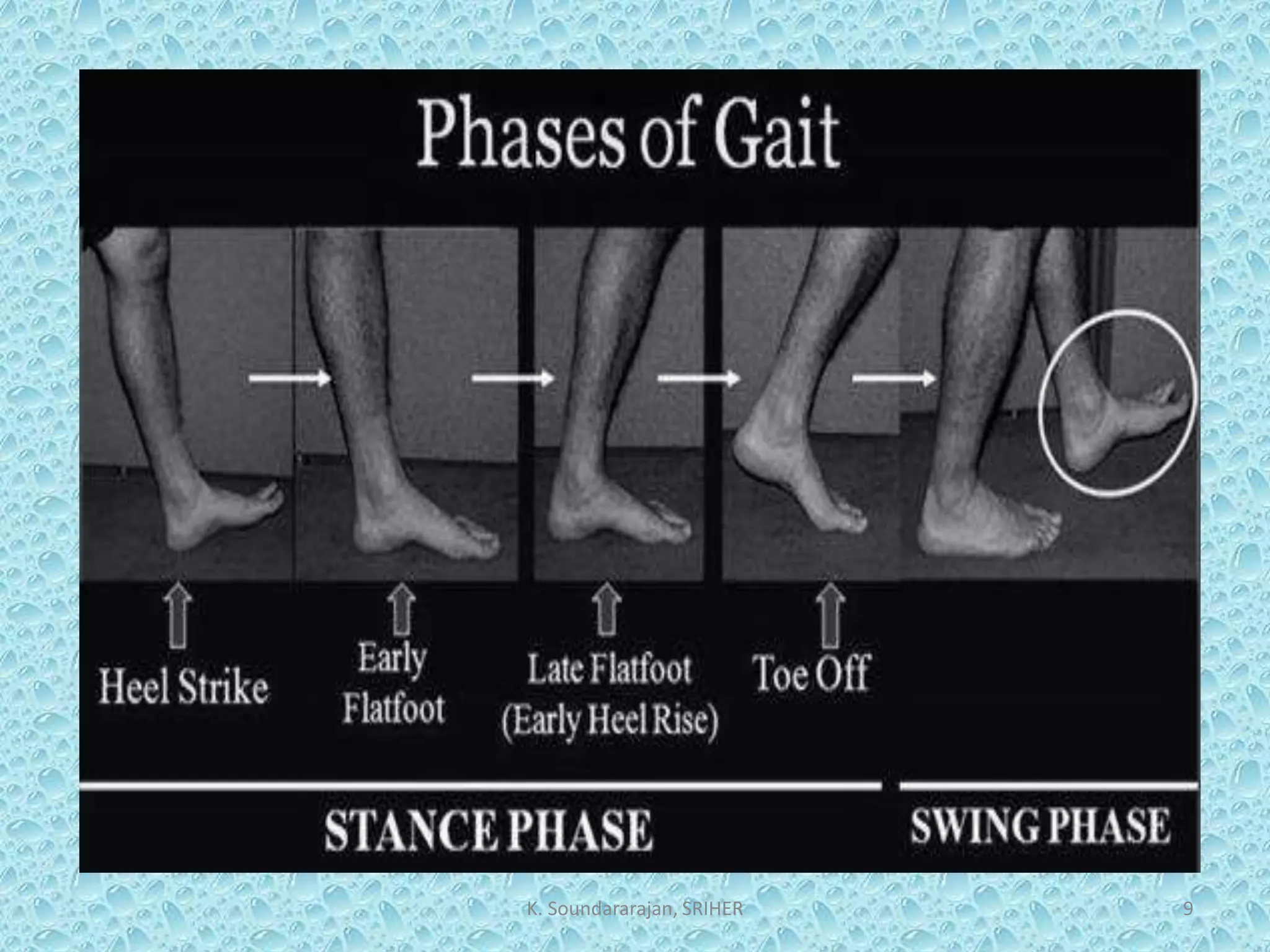 Biomechanics gait | PPTX