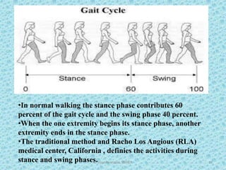 •In normal walking the stance phase contributes 60
percent of the gait cycle and the swing phase 40 percent.
•When the one extremity begins its stance phase, another
extremity ends in the stance phase.
•The traditional method and Racho Los Angious (RLA)
medical center, California , definies the activities during
stance and swing phases.K. Soundararajan, SRIHER 10
 