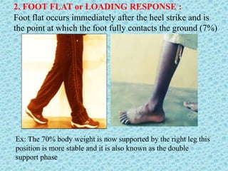 2. FOOT FLAT or LOADING RESPONSE :
Foot flat occurs immediately after the heel strike and is
the point at which the foot fully contacts the ground (7%)
Ex: The 70% body weight is now supported by the right leg this
position is more stable and it is also known as the double
support phase
 
