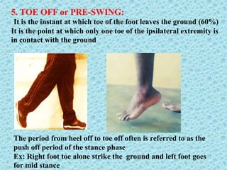5. TOE OFF or PRE-SWING:
It is the instant at which toe of the foot leaves the ground (60%)
It is the point at which only one toe of the ipsilateral extremity is
in contact with the ground
The period from heel off to toe off often is referred to as the
push off period of the stance phase
Ex: Right foot toe alone strike the ground and left foot goes
for mid stance
 
