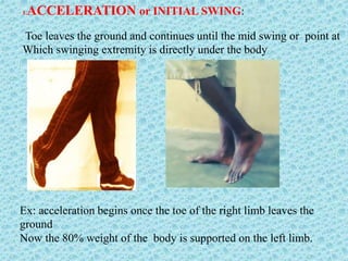 1.ACCELERATION or INITIAL SWING:
Toe leaves the ground and continues until the mid swing or point at
Which swinging extremity is directly under the body
Ex: acceleration begins once the toe of the right limb leaves the
ground
Now the 80% weight of the body is supported on the left limb.
 