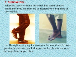 2. MIDSWING :
Midswing occurs when the ipsilateral limb passes directly
beneath the body and from end of acceleration to beginning of
deccleration.
Ex: The right leg is going for maximum flexion and and left knee
goes for the extension and locking occurs this phase is known as
the single limb support phase
 
