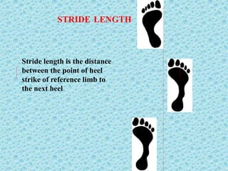 STRIDE LENGTH
Stride length is the distance
between the point of heel
strike of reference limb to
the next heel
 