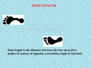 STEP LENGTH
Step length is the distance between the two successive
points of contact of opposite extremities (right & left foot)
 