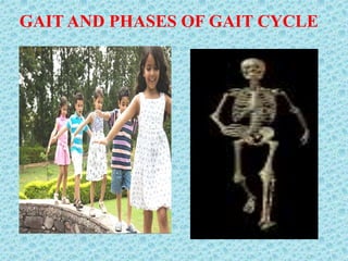 GAIT AND PHASES OF GAIT CYCLE
 