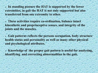  In standing posture the HAT is supported by the lower
extremities, in gait the HAT is not only supported but also
transferred from one extremity to other.
 These activities require co-ordination, balance intact
kinesthetic and proprioceptive senses, and integrity of the
joints and the muscles.
 Gait patterns reflects the persons occupation, body structure
health status and personality as well as many other physical
and psychological attributes.
 Knowledge of the proper gait pattern is useful for analysing,
identifying and correcting abnormalities in the gait.
 