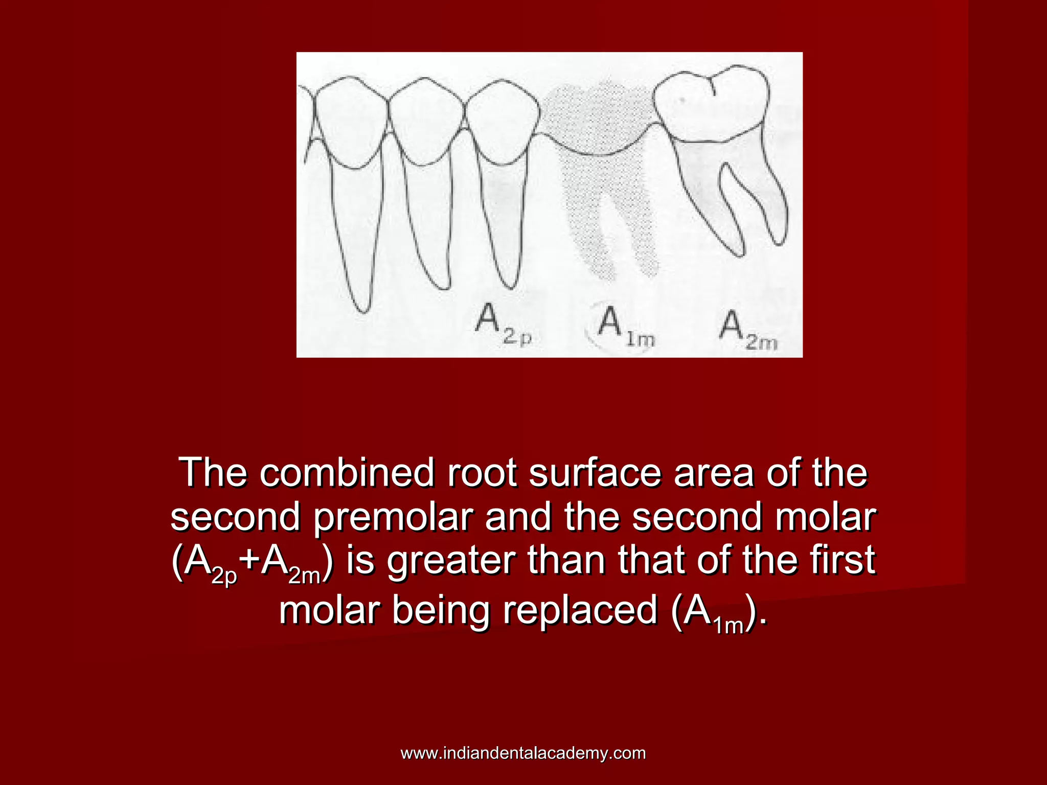 The combined root surface area of theThe combined root surface area of the
second premolar and the second molarsecond premolar and the second molar
(A(A2p2p+A+A2m2m) is greater than that of the first) is greater than that of the first
molar being replaced (Amolar being replaced (A1m1m).).
www.indiandentalacademy.comwww.indiandentalacademy.com
 