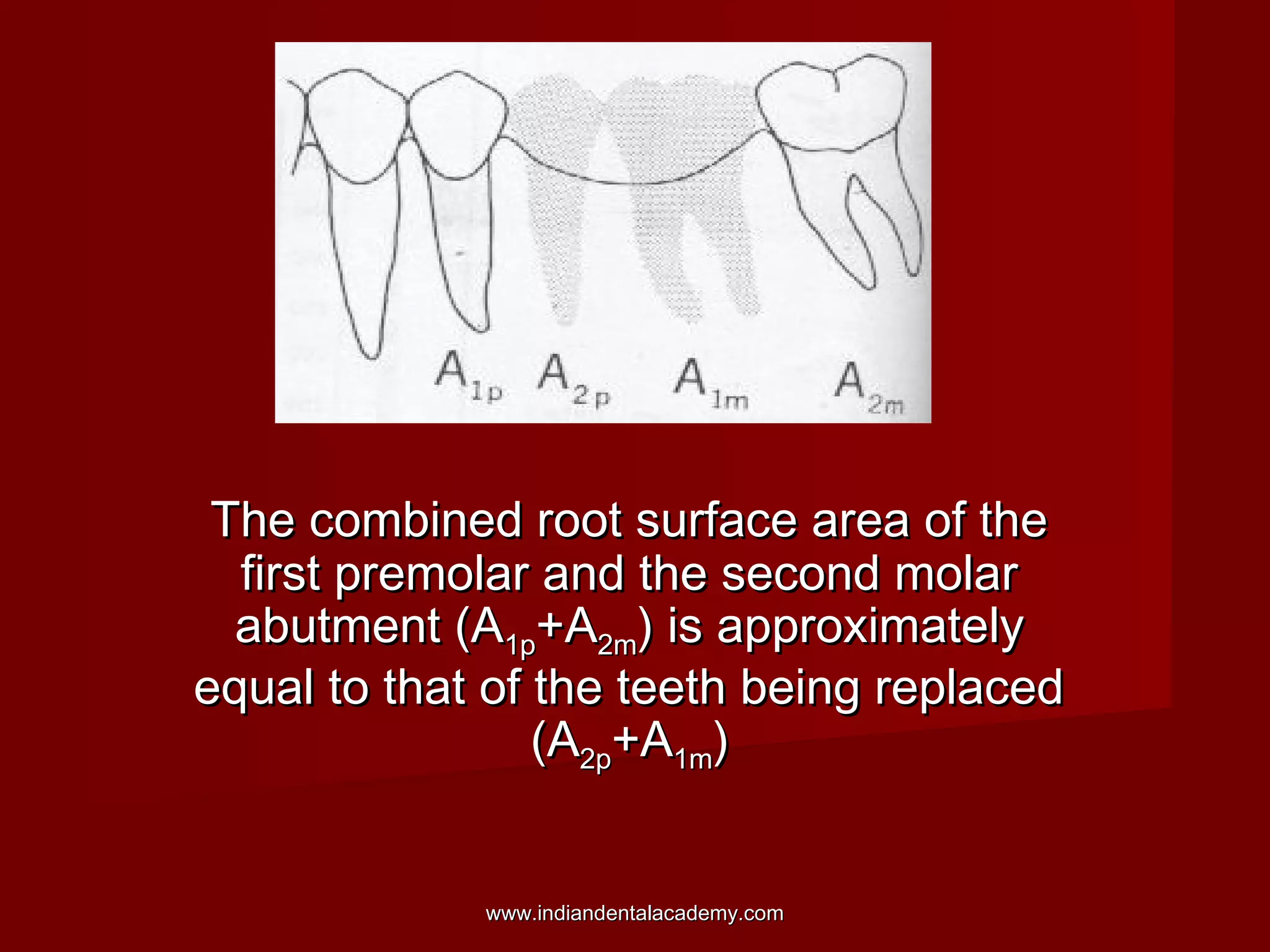 The combined root surface area of theThe combined root surface area of the
first premolar and the second molarfirst premolar and the second molar
abutment (Aabutment (A1p1p+A+A2m2m) is approximately) is approximately
equal to that of the teeth being replacedequal to that of the teeth being replaced
(A(A2p2p+A+A1m1m))
www.indiandentalacademy.comwww.indiandentalacademy.com
 