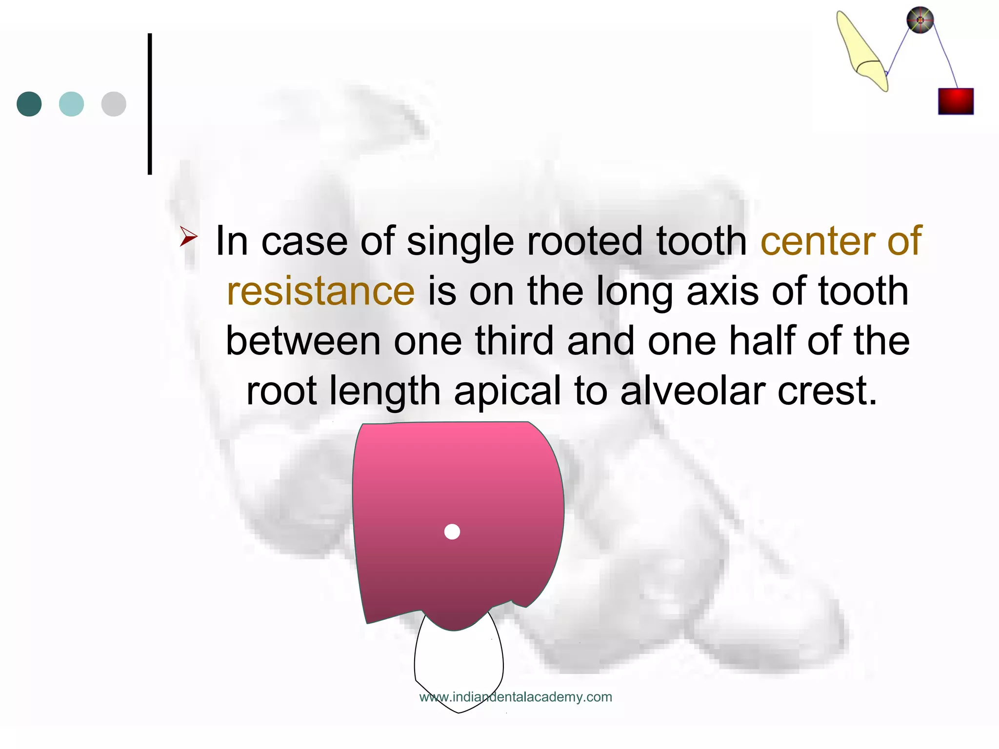  In case of single rooted tooth center of
resistance is on the long axis of tooth
between one third and one half of the
root length apical to alveolar crest.
www.indiandentalacademy.com
 