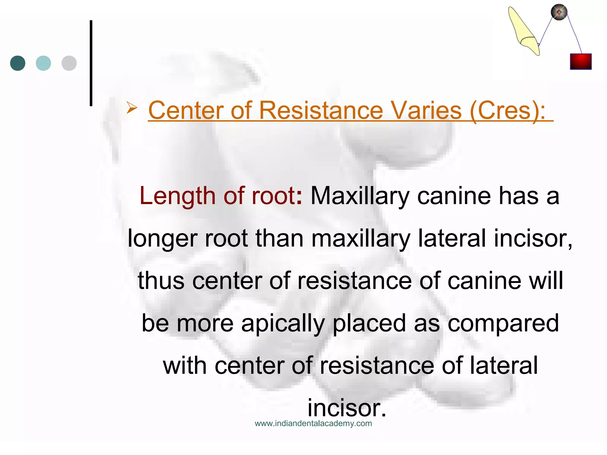  Center of Resistance Varies (Cres):
Length of root: Maxillary canine has a
longer root than maxillary lateral incisor,
thus center of resistance of canine will
be more apically placed as compared
with center of resistance of lateral
incisor.www.indiandentalacademy.com
 