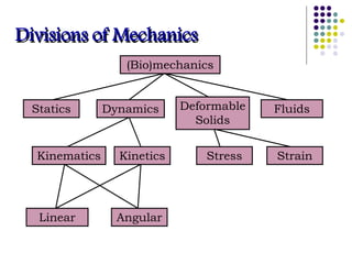 Divisions of Mechanics
Statics Dynamics Fluids
Kinematics Kinetics
Linear Angular
Deformable
Solids
Stress Strain
(Bio)mechanics
 
