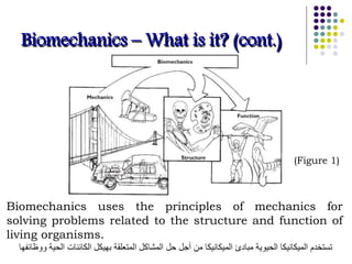 Biomechanics uses the principles of mechanics for
solving problems related to the structure and function of
living organisms.
‫ووظائفها‬ ‫الحية‬ ‫الكائنات‬ ‫بهيكل‬ ‫المتعلقة‬ ‫المشاكل‬ ‫حل‬ ‫أجل‬ ‫من‬ ‫الميكانيكا‬ ‫مبادئ‬ ‫الحيوية‬ ‫الميكانيكا‬ ‫تستخدم‬
(Figure 1)
Biomechanics – What is it? (cont.)
 