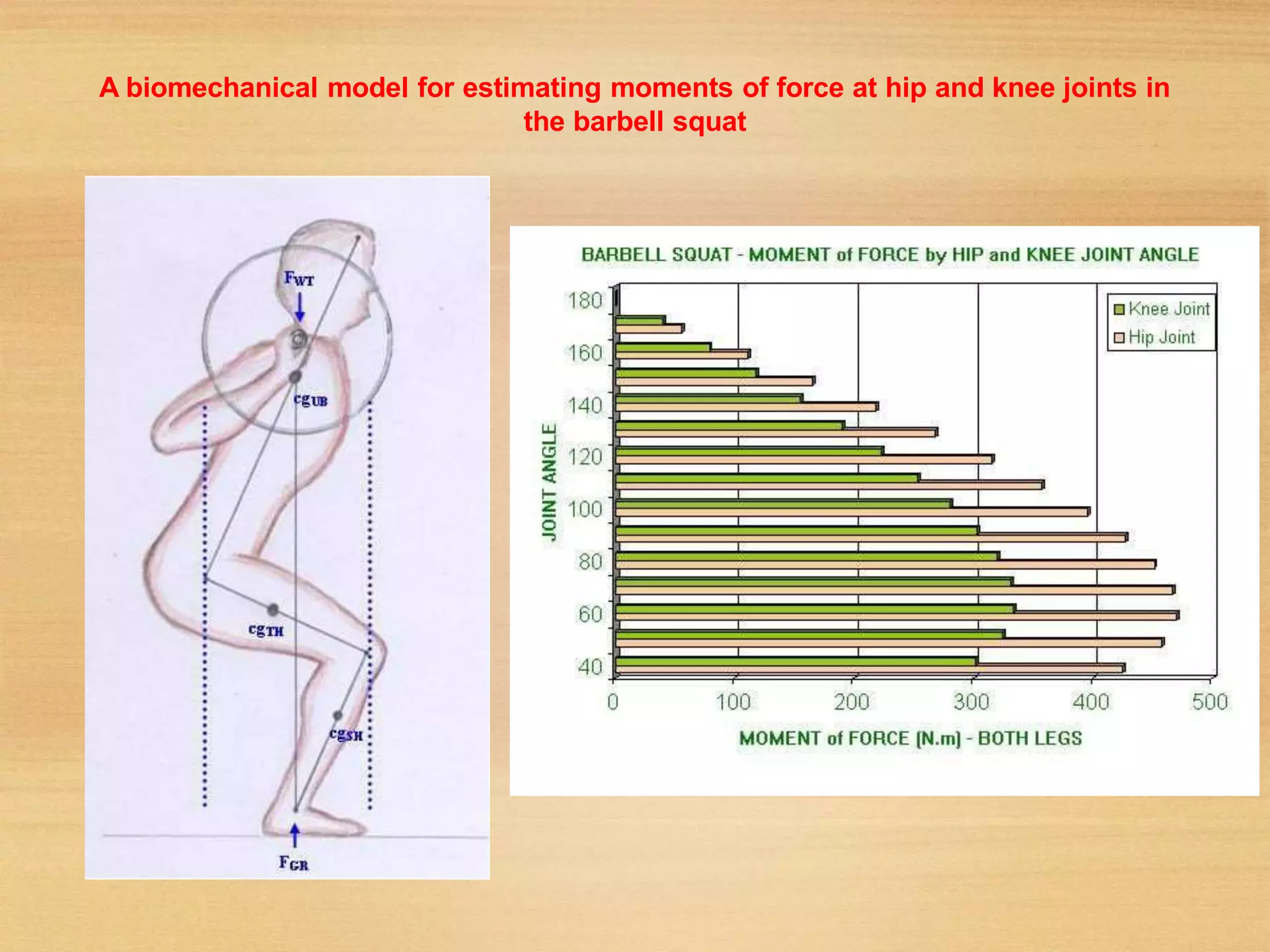 Biomechanics of knee | PPT