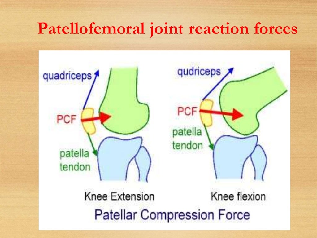Biomechanics of knee
