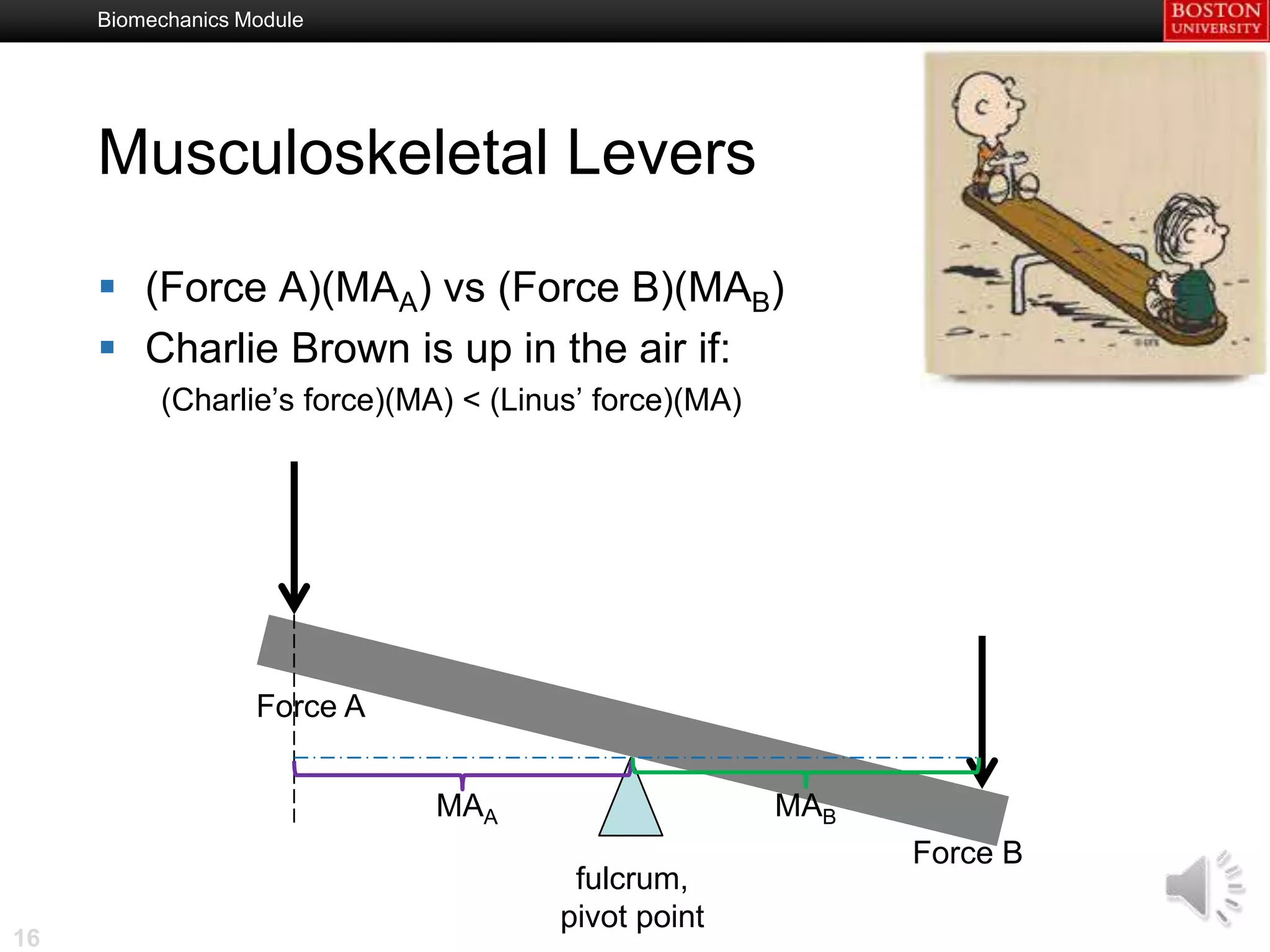 Biomechanics Module




     Musculoskeletal Levers

      (Force A)(MAA) vs (Force B)(MAB)
      Charlie Brown is up in the air if:
          (Charlie’s force)(MA) < (Linus’ force)(MA)




                   Force A


                             MAA                       MAB
                                                             Force B
                                       fulcrum,
                                      pivot point
16
 