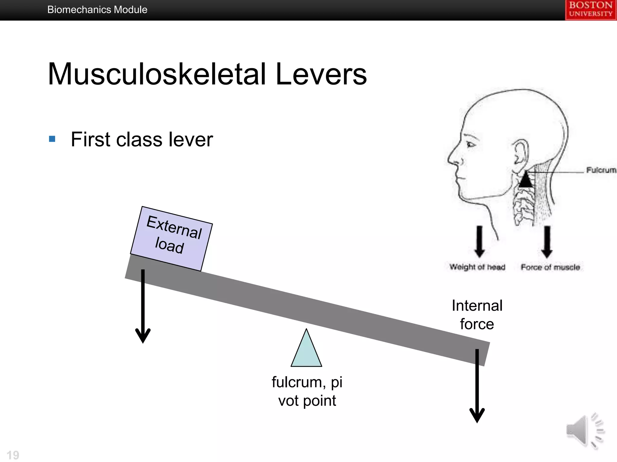 Biomechanics Module




     Musculoskeletal Levers

      First class lever




                                         Internal
                                          force


                           fulcrum, pi
                            vot point


19
 