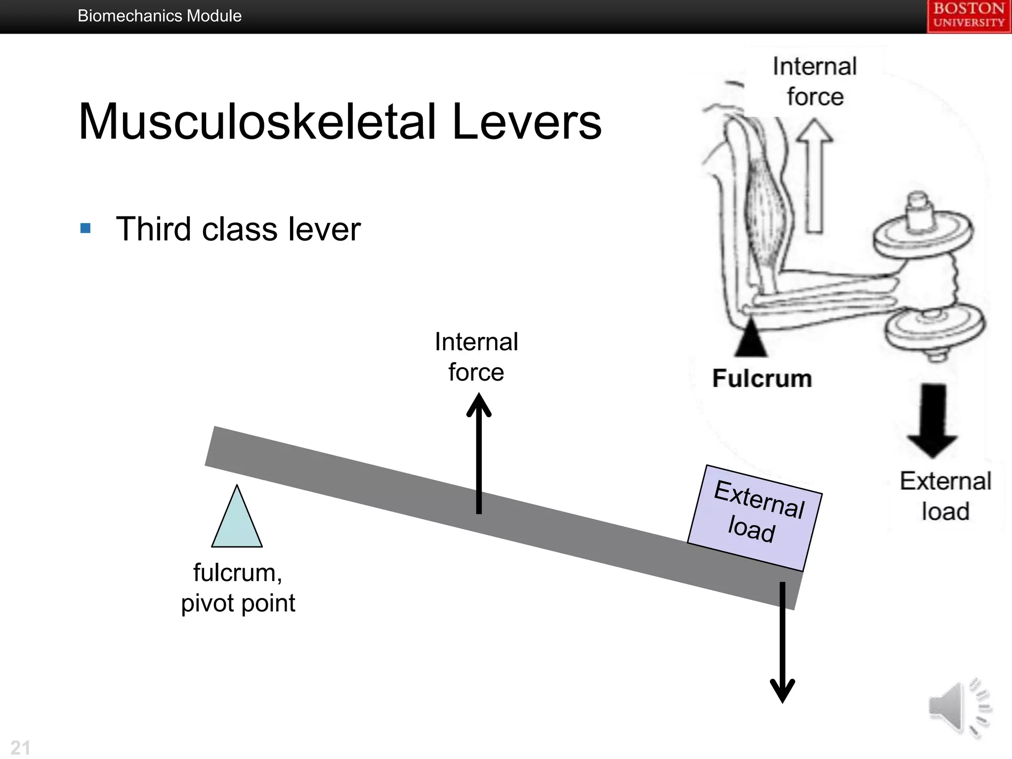Biomechanics Module




     Musculoskeletal Levers

      Third class lever


                              Internal
                               force




                 fulcrum,
                pivot point




21
 
