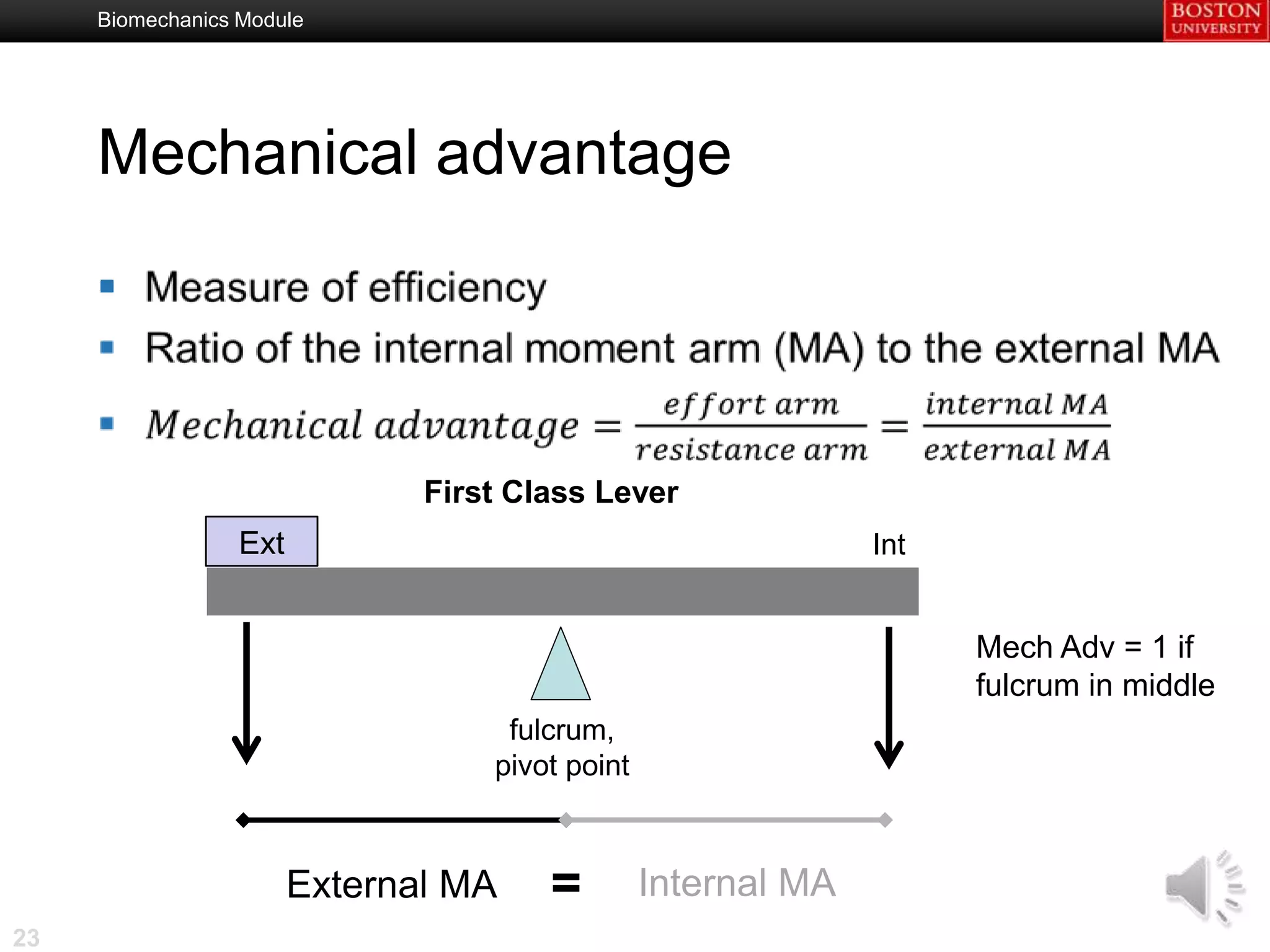 Biomechanics Module




     Mechanical advantage

     



                              First Class Lever
                 Ext
                Ext                                           Int


                                                                    Mech Adv = 1 if
                                                                    fulcrum in middle
                                   fulcrum,
                                  pivot point



                       External MA    =         Internal MA
23
 