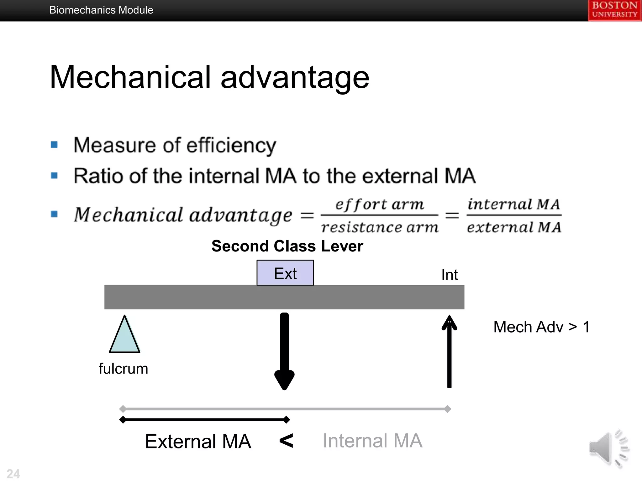 Biomechanics Module




     Mechanical advantage

     



                            Second Class Lever
                                    Ext                 Int


                                                              Mech Adv > 1

              fulcrum



                      External MA   <     Internal MA
24
 