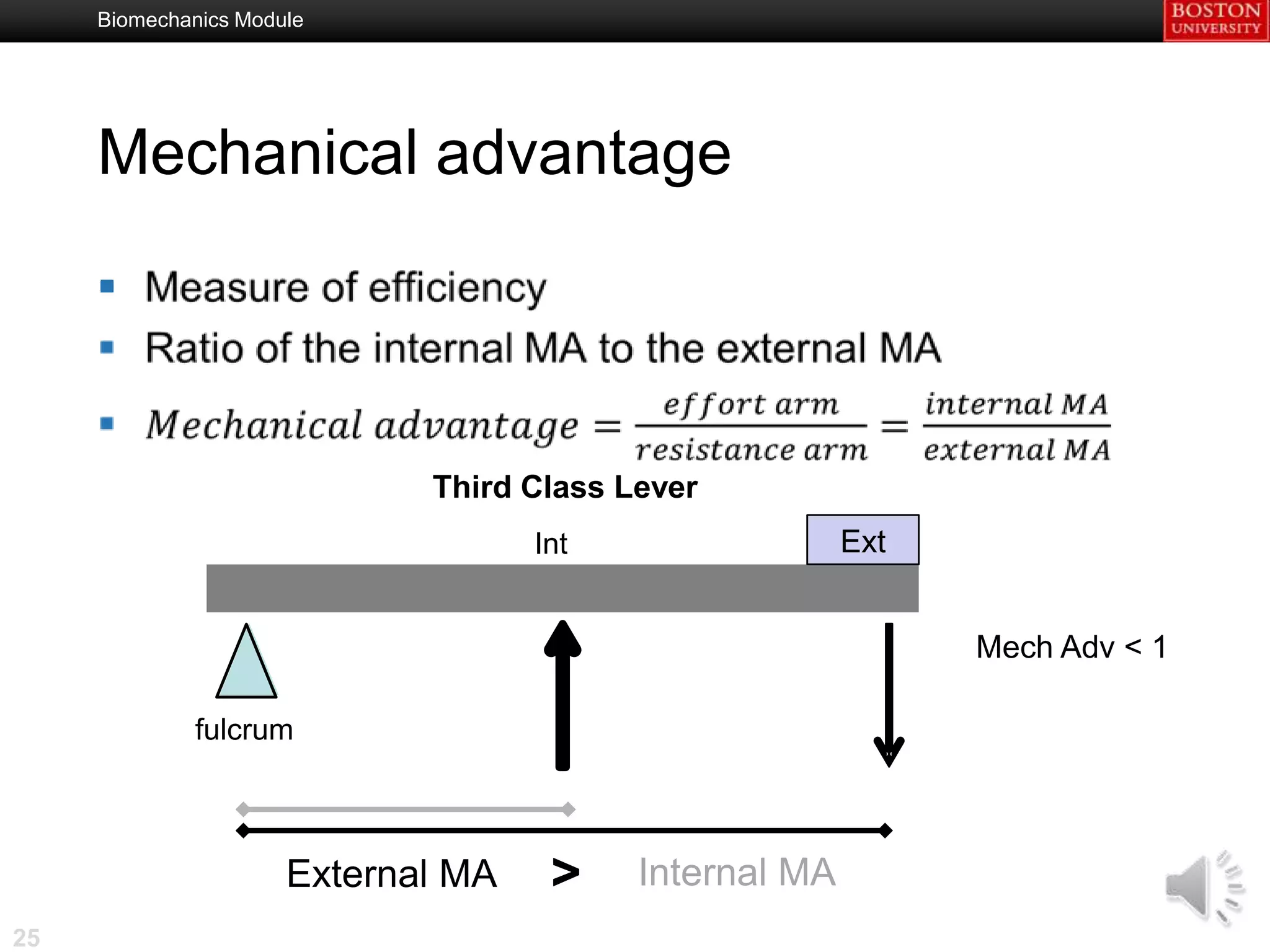 Biomechanics Module




     Mechanical advantage

     



                             Third Class Lever
                                    Int                 Ext


                                                              Mech Adv < 1

              fulcrum



                      External MA    >    Internal MA
25
 