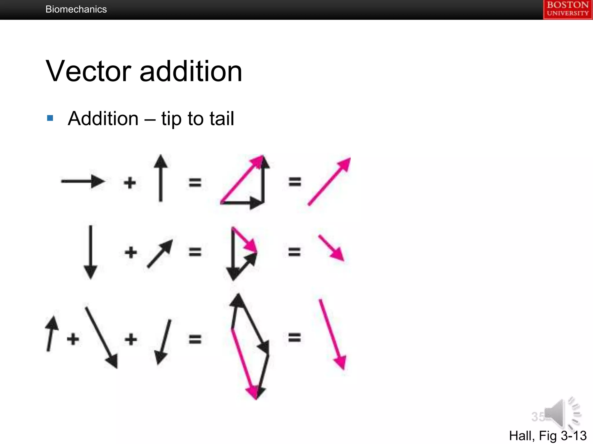 Biomechanics




Vector addition
 Addition – tip to tail




                               35
                           Hall, Fig 3-13
 
