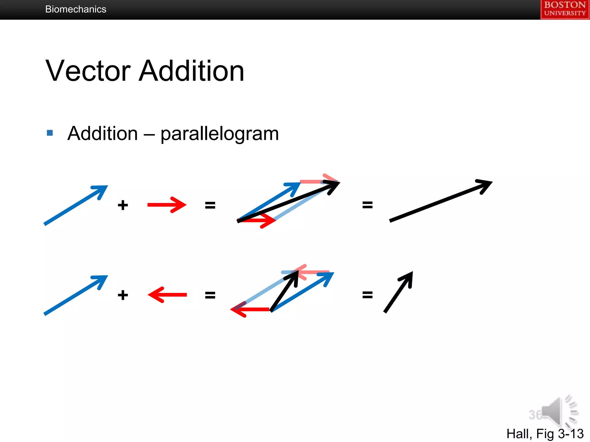 Biomechanics




Vector Addition

 Addition – parallelogram


               +   =         =



               +   =         =




                                     36
                                 Hall, Fig 3-13
 