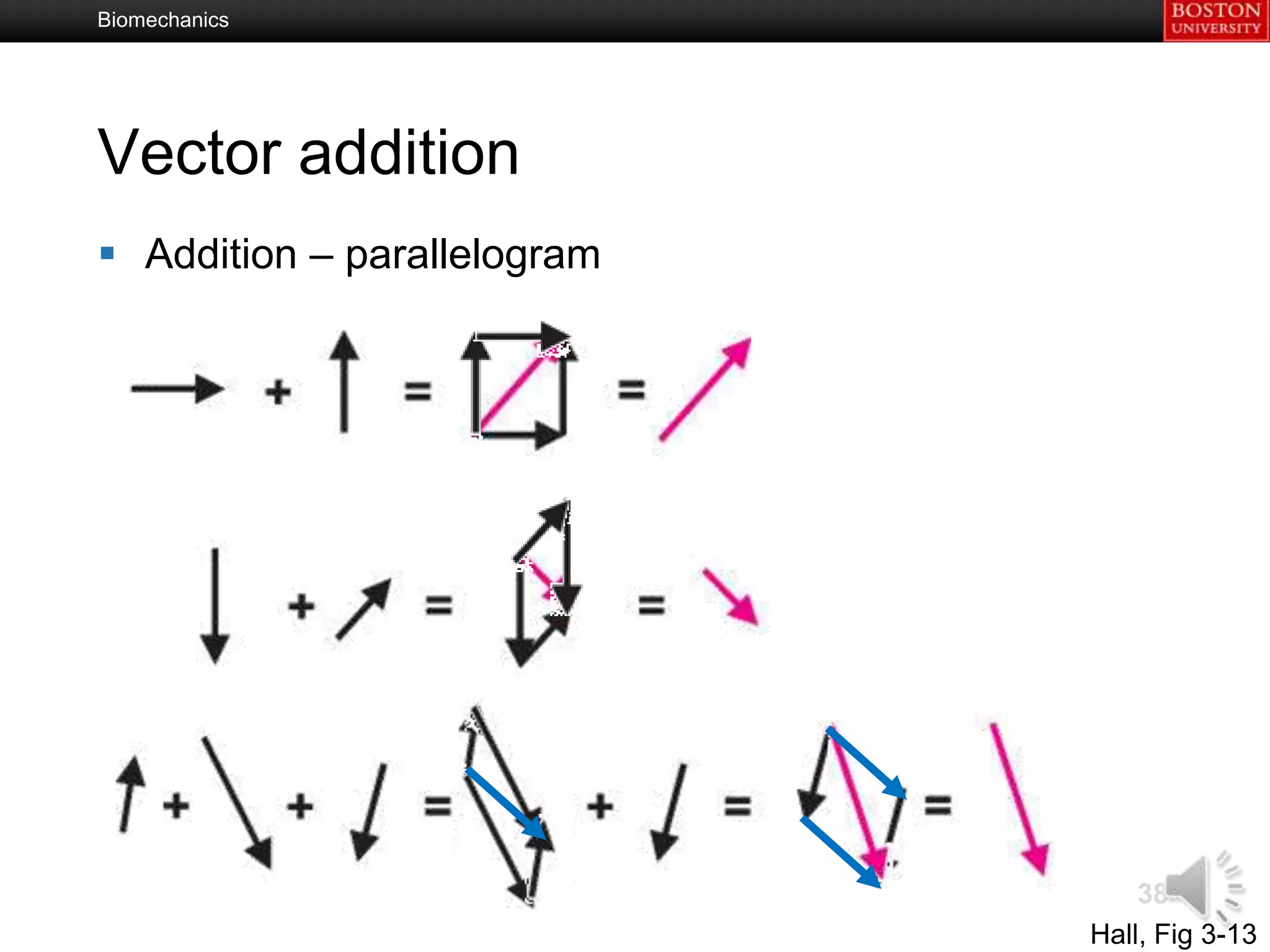 Biomechanics




Vector addition
 Addition – parallelogram




                                 38
                             Hall, Fig 3-13
 