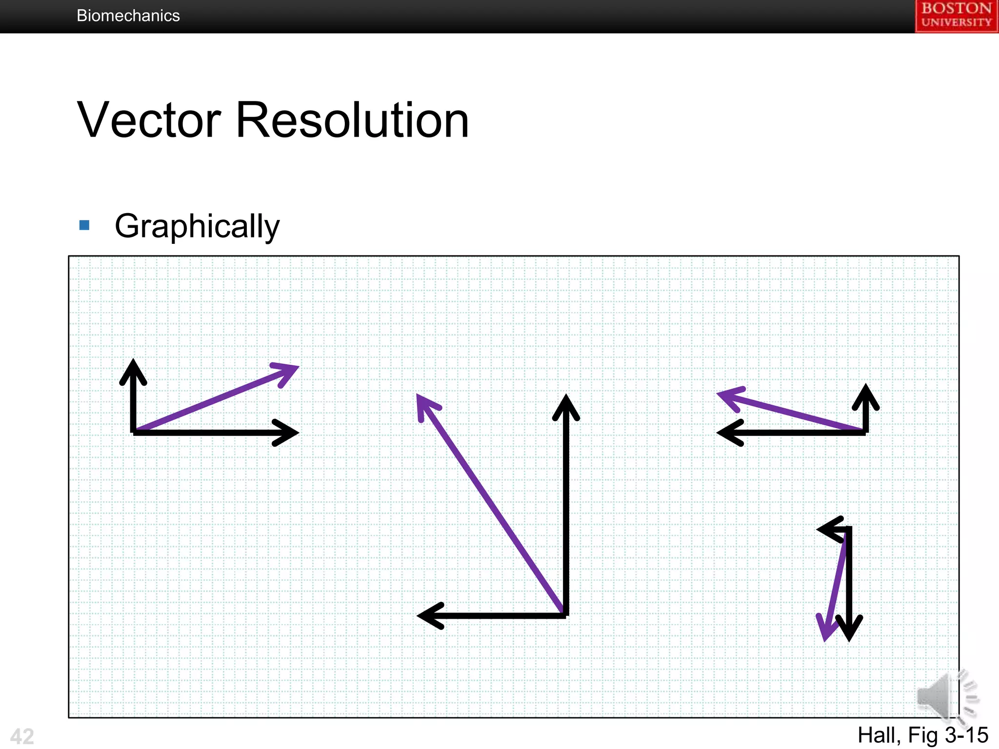 Biomechanics




     Vector Resolution

      Graphically




42                       Hall, Fig 3-15
 