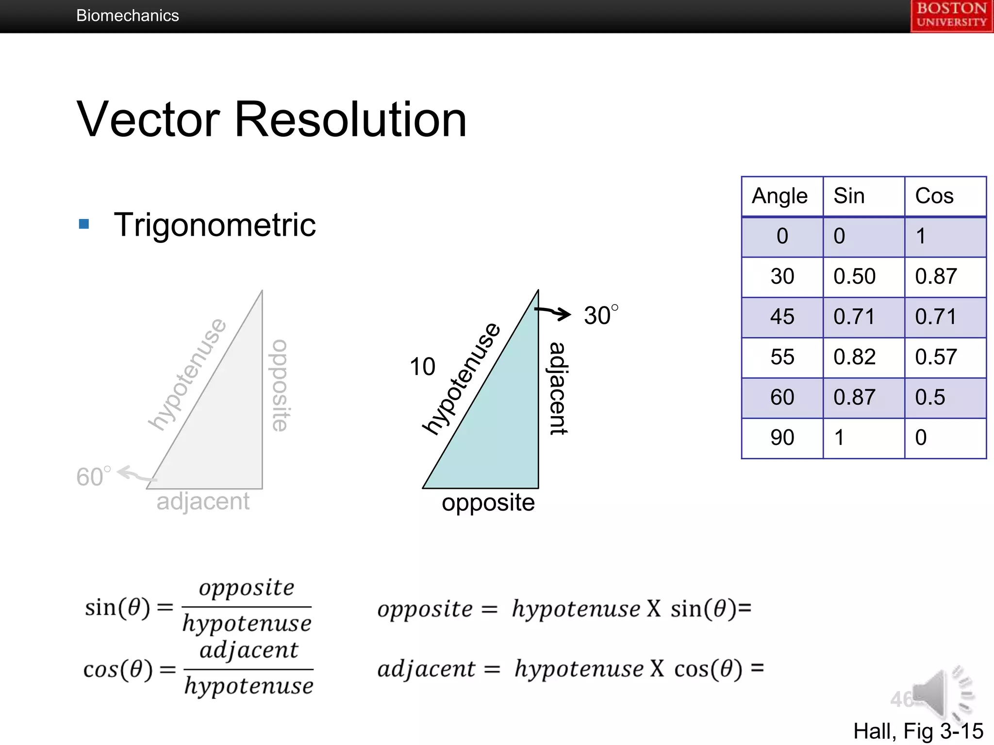 Biomechanics




Vector Resolution
                                                                Angle   Sin       Cos
 Trigonometric                                                   0     0         1
                                                                 30     0.50      0.87
                                                          30°    45     0.71      0.71
                    opposite




                                               adjacent
                               10                                55     0.82      0.57
                                                                 60     0.87      0.5
                                                                 90     1         0
60°
         adjacent                   opposite




                                                                                46
                                                                            Hall, Fig 3-15
 