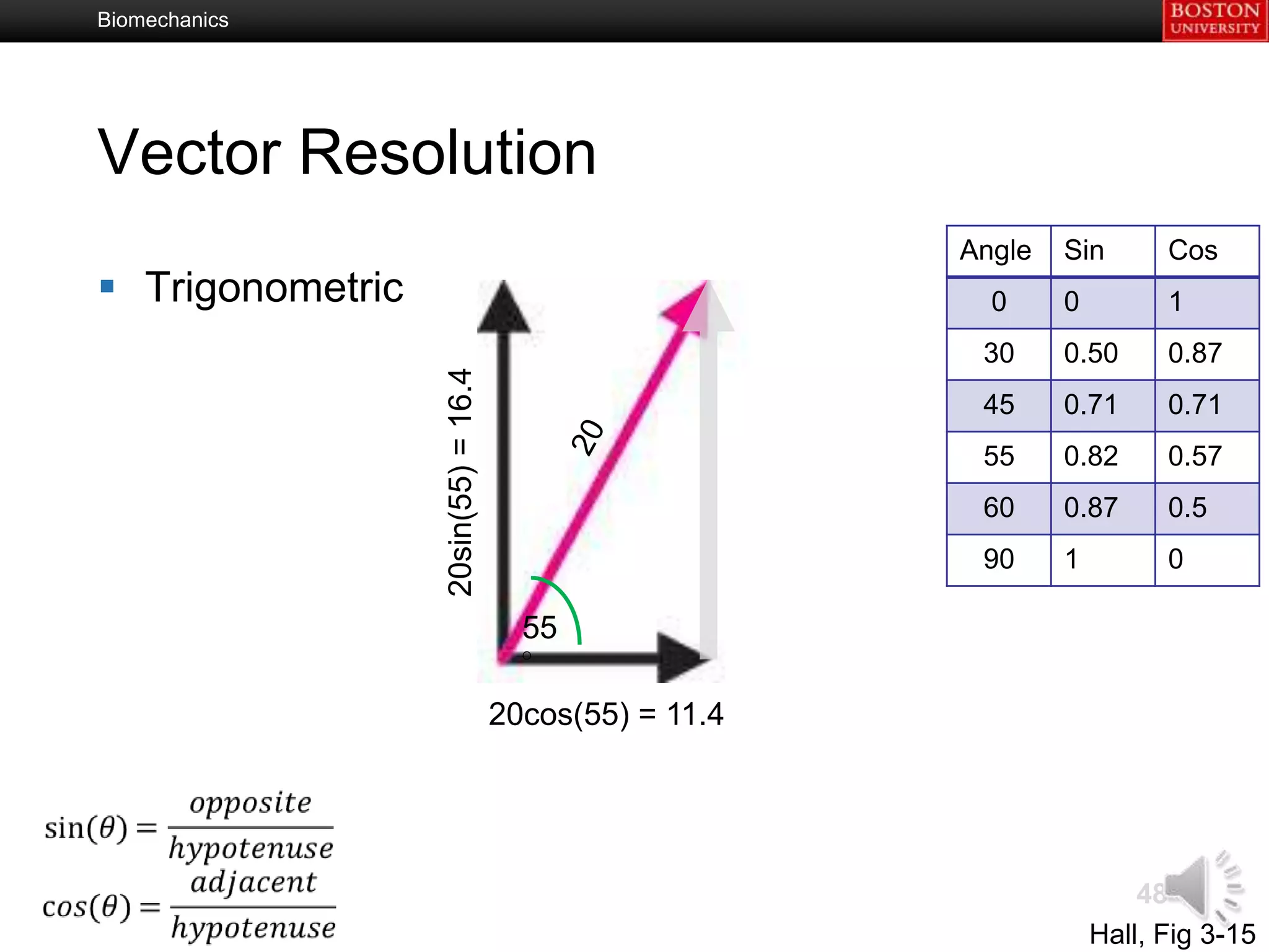 Biomechanics




Vector Resolution
                                                        Angle   Sin       Cos
 Trigonometric                                           0     0         1
                                                         30     0.50      0.87


                  20sin(55) = 16.4
                                                         45     0.71      0.71
                                                         55     0.82      0.57
                                                         60     0.87      0.5
                                                         90     1         0

                                       55
                                       °
                                     20cos(55) = 11.4




                                                                        48
                                                                    Hall, Fig 3-15
 