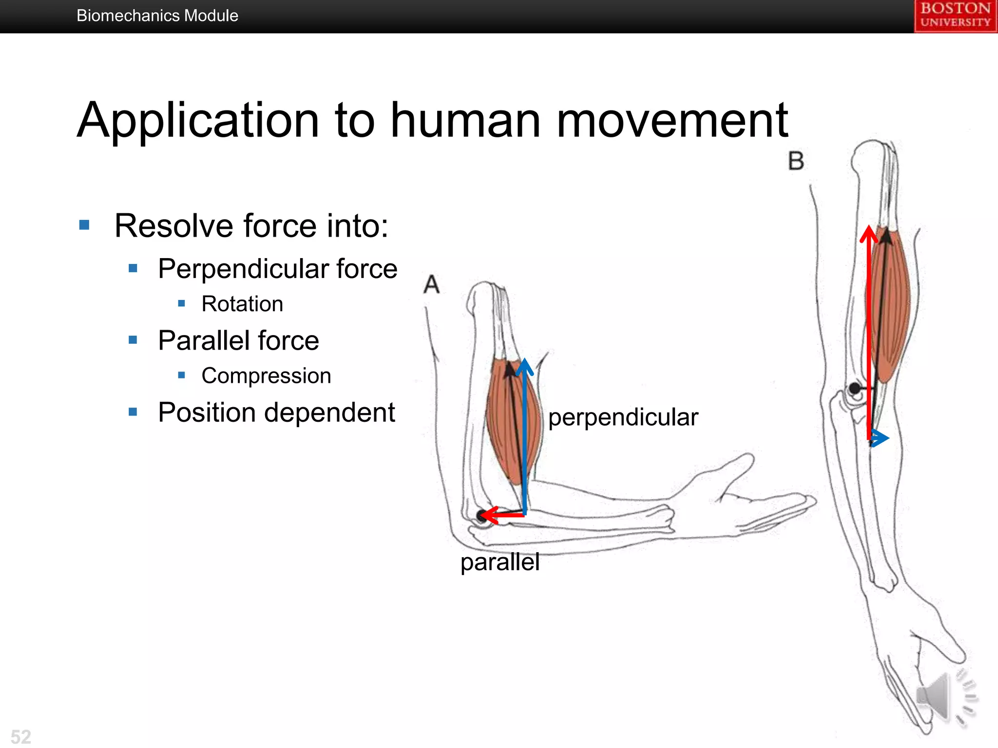 Biomechanics Module




     Application to human movement

      Resolve force into:
           Perpendicular force
                 Rotation
           Parallel force
                 Compression
           Position dependent               perpendicular




                                  parallel




52
 
