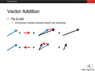 Biomechanics module | PPSX
